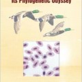دانلود کتاب گلبول قرمز مرغی: ادیسه فیلوژنتیکی<br>The Avian Erythrocyte: Its Phylogenetic Odyssey