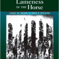 دانلود کتاب تشخیص و مدیریت لنگش در اسب (نسخه پیشرفته)<br>Diagnosis and Management of Lameness in the Horse, 2ed