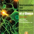 دانلود کتاب کالبدشناسی اعصاب و علوم اعصاب در یک نگاه<br>Neuroanatomy and Neuroscience at a Glance, 4ed