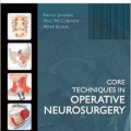 دانلود کتاب تکنیک های اصلی در جراحی مغز و اعصاب <br>Core Techniques in Operative Neurosurgery, 1ed