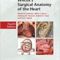 دانلود کتاب آناتومی جراحی قلب ویلکاکس<br>Wilcox's Surgical Anatomy of the Heart, 4ed