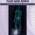 دانلود کتاب معاینه اسکلتی- عضلانی از پا و مچ پا<br>Musculoskeletal Examination of the Foot and Ankle: Making the Complex Simple
