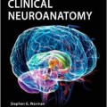 دانلود کتاب کالبدشناسی اعصاب بالینی واکسمن<br>Clinical Neuroanatomy, 27ed