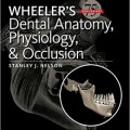 دانلود کتاب آناتومی، فیزیولوژی و اکلوژن دندان ویلر<br>Wheeler's Dental Anatomy, Physiology and Occlusion, 10ed