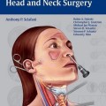 دانلود کتاب گوش و حلق و بینی کلی اِسکالفانی: جراحی سر و گردن <br>Total Otolaryngology: Head and Neck Surgery, 1ed