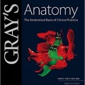 دانلود کتاب آناتومی گری: اساس تشریحی طب بالینی (ویرایش 2016)<br>Gray's Anatomy: The Anatomical Basis of Clinical Practice, 41ed