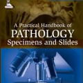 دانلود کتاب آموزه های عملی پاتولوژی: نمونه ها و اسلایدها<br>A Practical Handbook of Pathology: Specimens and Slides