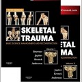دانلود کتاب تروما اسکلتی (شکستگیها) برونر: علوم پایه، مدیریت و بازسازی (2 جلدی)<br>Browner' Skeletal Trauma: Basic Science, Management, and Reconstruction, 2-Vol, 5ed