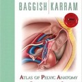 دانلود کتاب اطلس آناتومی و جراحی لگن زنان باگیش (ویرایش 2016)<br>Baggish's Atlas of Pelvic Anatomy and Gyncecologic Surgery, 4ed