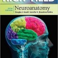 دانلود کتاب کالبدشناسی اعصاب عملکرد بالا<br>High-Yield™ Neuroanatomy, 5ed
