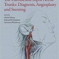 دانلود کتاب شاهرگ کاروتید و سوپرا-آئورت: تشخیص، آنژیوپلاستی و استنت گذاری<br>The Carotid and Supra-Aortic Trunks: Diagnosis, Angioplasty and Stenting, 2ed