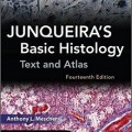 دانلود کتاب بافت شناسی پایه جان کوئیرا<br>Junqueira's Basic Histology: Text and Atlas, 14ed