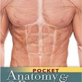 دانلود کتاب آناتومی و فیزیولوژی جونز<br>Pocket Anatomy and Physiology, 3ed