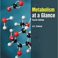 دانلود کتاب متابولیسم در یک نگاه<br>Metabolism at a Glance, 4ed