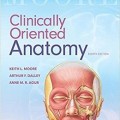 دانلود کتاب آناتومی تفصیلی بالینی مور<br>Moore's Clinically Oriented Anatomy, 8ed