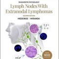 دانلود کتاب پاتولوژی تشخیصی: گره های لنفاوی و لنفوم های خارج گره ای<br>Diagnostic Pathology: Lymph Nodes and Extranodal Lymphomas, 2ed