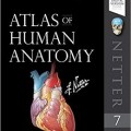 دانلود کتاب اطلس آناتومی انسان نتر (ویرایش 2019)<br>Netter's Atlas of Human Anatomy, 7ed