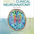 دانلود کتاب آناتومی اعصاب بالینی اسنل<br>Snell's Clinical Neuroanatomy, 8ed