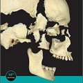 دانلود کتاب اصول آناتومی انسانی تورتورا<br>Principles of Human Anatomy, 14ed