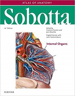 دانلود کتاب اطلس آناتومی زوبوتا: ارگان های داخلی (جلد 2) Sobotta Atlas of Anatomy: Internal Organs, Vol-2, 16ed