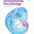 دانلود کتاب نوروبیولوژی رشد<br>Developmental Neurobiology, 1ed