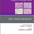دانلود کتاب پاتولوژی بافت نرم، یک موضوع کلینیک های پاتولوژی جراحی<br>Soft Tissue Pathology, An Issue of Surgical Pathology Clinics, 1ed