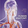 دانلود کتاب آناتومی انسان مارتینی<br>Human Anatomy, 9ed
