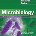 دانلود کتاب بررسی های مصور میکروبیولوژی لیپینکات<br>Lippincott® Illustrated Reviews: Microbiology, 4ed