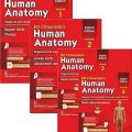 دانلود کتاب آناتومی انسان چوراسیا (۴ جلدی)<br>BD Chaurasia's Human Anatomy, 8ed