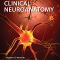 دانلود کتاب نوروآناتومی بالینی<br>Clinical Neuroanatomy, 29ed