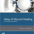 دانلود کتاب اطلس بهبود زخم: رویکرد بازسازی بافت<br>Atlas of Wound Healing: A Tissue Regeneration Approach, 1ed