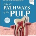 دانلود کتاب مسیرهای پالپ دندانی کوهن <br>Cohen's Pathways of the Pulp, 12ed