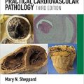 دانلود کتاب پاتولوژی قلب و عروق عملی<br>Practical Cardiovascular Pathology, 3ed