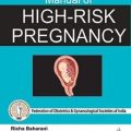 دانلود کتاب راهنمای بارداری پرخطر <br>Manual of High-Risk Pregnancy, 1ed