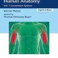 دانلود کتاب اطلس رنگ آناتومی انسان: سیستم حرکتی (جلد 1)<br>Color Atlas of Human Anatomy: Vol. 1 Locomotor System, 8ed