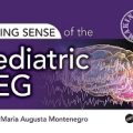 دانلود کتاب Making Sense of the Pediatric EEG, 1ed