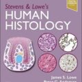 دانلود کتاب بافت شناسی انسانی استیونز و لو<br>Stevens & Lowe's Human Histology 6th Edition