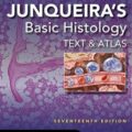 دانلود کتاب بافت شناسی اساسی جانکویرا: متن و اطلس<br>Junqueira's Basic Histology: Text and Atlas 17th Edition