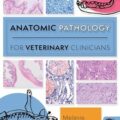 دانلود کتاب پاتولوژی آناتومیک برای پزشکان دامپزشکی<br>Anatomic Pathology for Veterinary Clinicians, 1ed