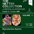 دانلود کتاب مجموعه تصاویر پزشکی نتر: سیستم تولید مثل (جلد 1)<br>The Netter Collection of Medical Illustrations: Reproductive System, Volume 1, 3rd Edition