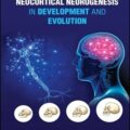 دانلود کتاب نوروژنز نئوکورتیکال در توسعه و تکامل<br>Neocortical Neurogenesis in Development and Evolution, 1ed