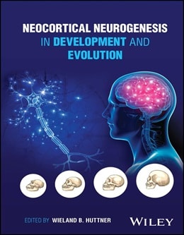 دانلود کتاب Neocortical Neurogenesis in Development and Evolution, 1ed