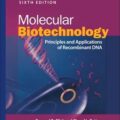 دانلود کتاب بیوتکنولوژی مولکولی: اصول و کاربردهای DNA نوترکیب<br>Molecular Biotechnology: Principles and Applications of Recombinant DNA, 6ed