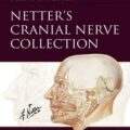 دانلود کتاب مجموعه اعصاب جمجمه ای نتر + ویدئو<br>Netter’s Cranial Nerve Collection 1st Edition + Video