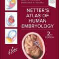 دانلود کتاب اطلس جنین شناسی انسانی نتر<br>Netter's Atlas of Human Embryology 2nd Edition