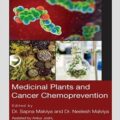 دانلود کتاب گیاهان دارویی و پیشگیری از سرطان<br>Medicinal Plants and Cancer Chemoprevention 1st Edition