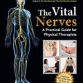 دانلود کتاب اعصاب حیاتی: راهنمای عملی برای فیزیوتراپیست ها<br>The Vital Nerves: A Practical Guide for Physical Therapists 1st Edition