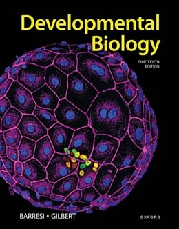 دانلود کتاب Developmental Biology 13th Edition