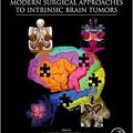 دانلود کتاب مرور اجمالیجامع رویکردهای جراحی مدرن تومورهای مغزی ذاتی<br>Comprehensive Overview of Modern Surgical Approaches to Intrinsic Brain Tumors, 1ed