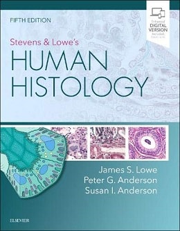 دانلود کتاب Stevens & Lowe's Human Histology, 5ed